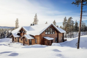 Nybyggd stuga, modern arkitektur - panoramautsikt